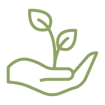 Croissance des plantes et végétaux