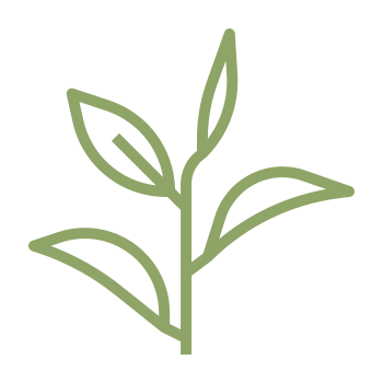 Paille pour jardin ou potager (icone)