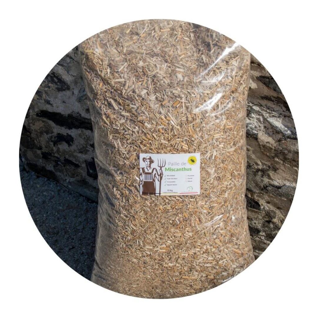 Paille de miscanthus pour paillage horticole
