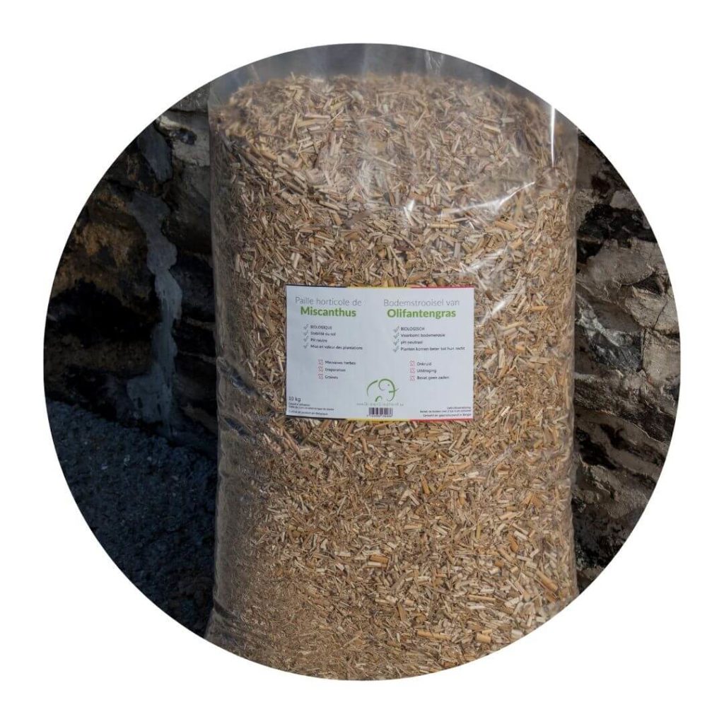 Paille de miscanthus - paillage horticole Green Elephant