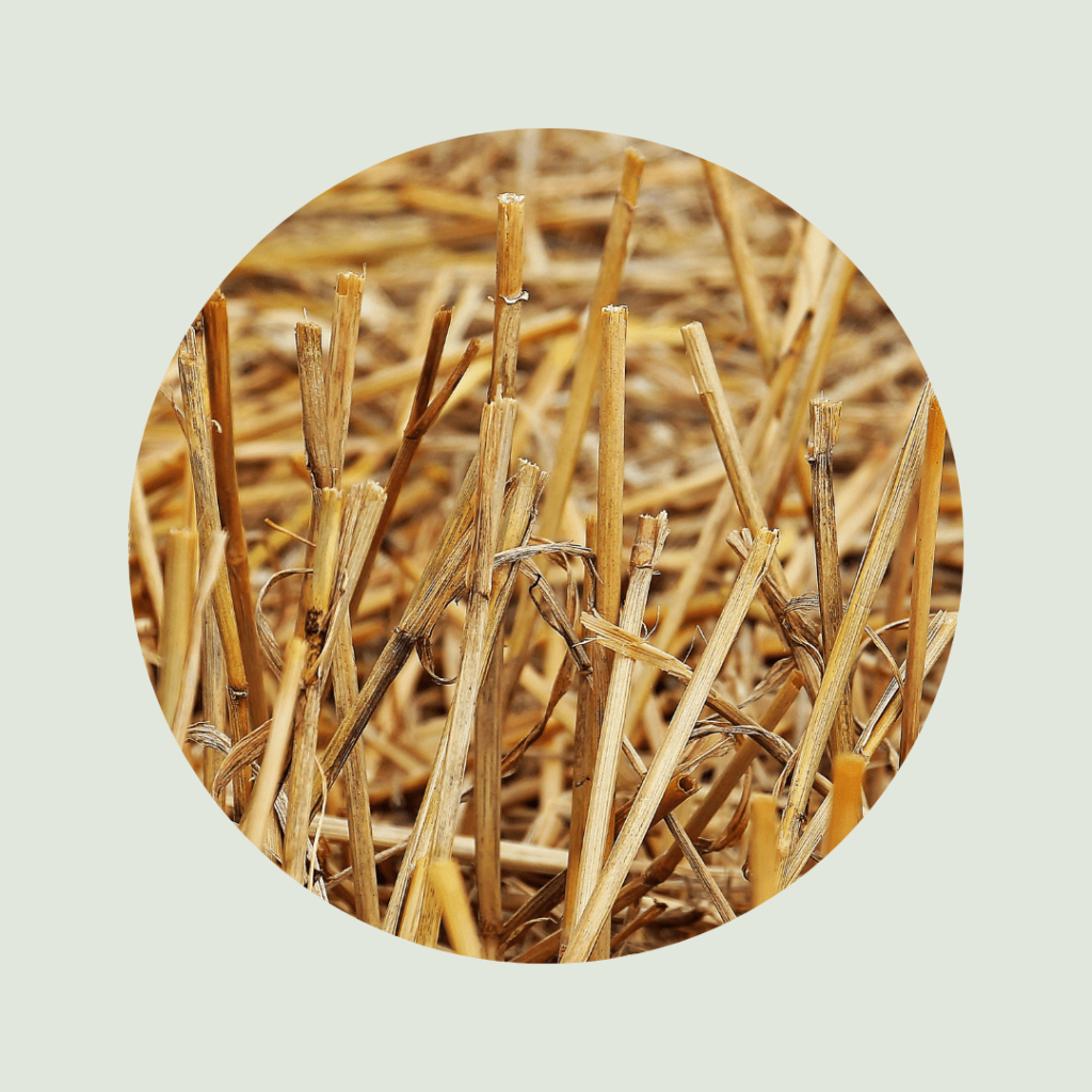 Paille végétale pour jardin